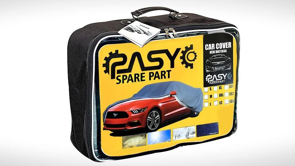 pasyco638692701890549681