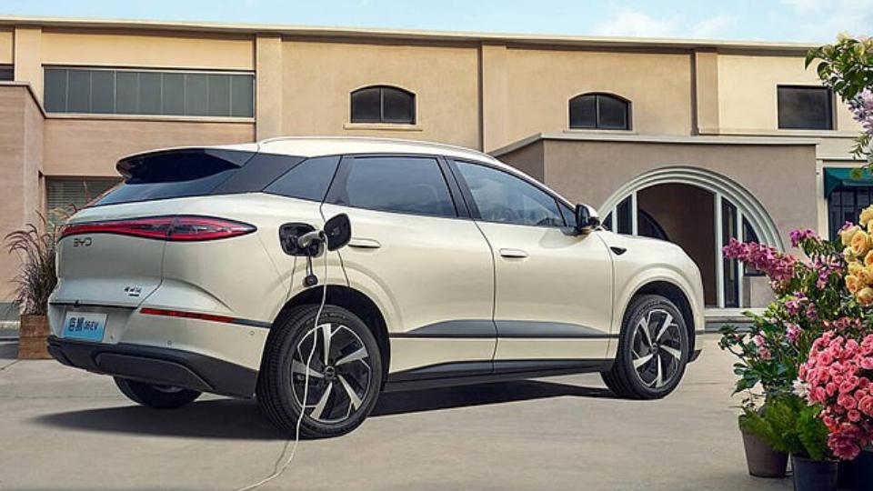 fotojet20-202025-07-27t100620-702638892079495877439