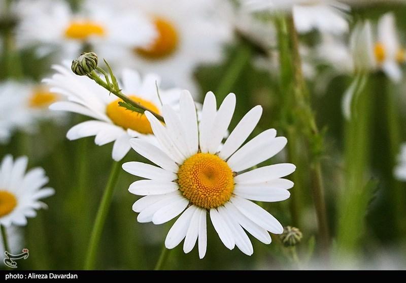 1402031014071281427694214-3 سه راه طلایی برای شاد کردن دل دیگران